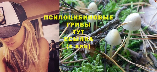 крисы Ростов