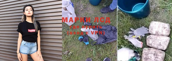 ГАЛЛЮЦИНОГЕННЫЕ ГРИБЫ Волосово